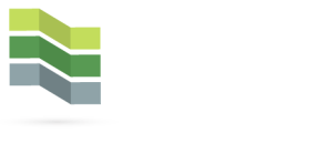 Leone Martinez Consultores